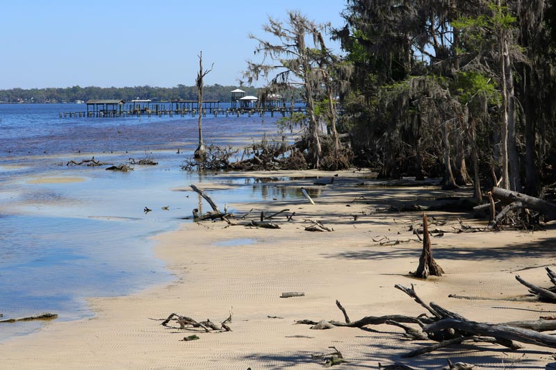 Alpine Groves Park St. Johns County Florida